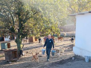 Manisa'da sahiplendiği köpekleri terk etti