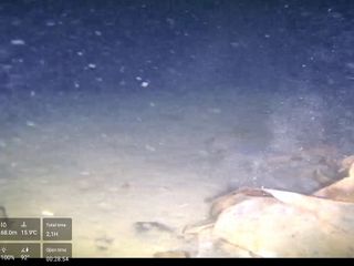 Marmara Denizi'nin dibinde 50 yıllık enkazın izine ulaşıldı