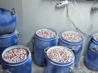 İstanbul ve İzmir'de narkotik operasyonu: 8 tutuklama