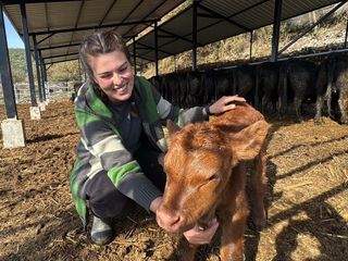 Muğla'da bakanlık projesiyle hayvancılığa başladı: Şimdiden 7 buzağım oldu