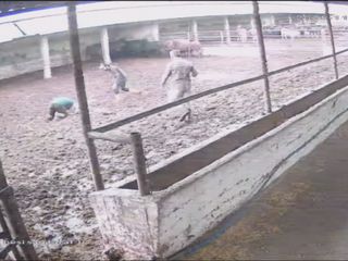 Amasya'da boğanın besiciye saldırdığı anlar kameraya yansıdı