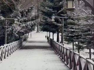 Ordu'da kar yağışı sonrası bazı bölgelerde kar kalınlığı 10 santimetreye ulaştı