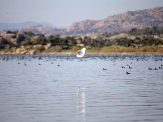 Bafa Gölü'nde doğal yaşam, yağışlarla yeniden canlanıyor
