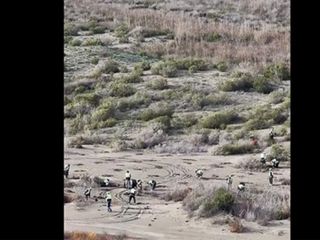 Ağyatan Lagünü'ne 100 bin yeni ağaç: Ekosistem koruma çalışmaları