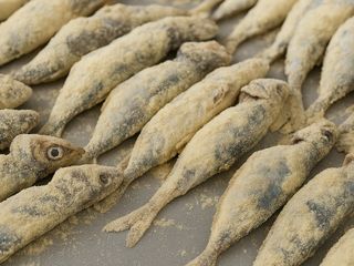 Balık unlamak bu kadar basitmiş: En temiz ve kolay yöntem...