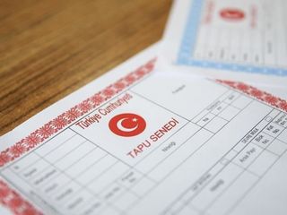 Pembe mi, mavi mi: Tapunuzun rengi bakın ne anlama geliyor...