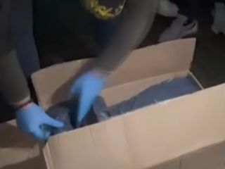 İstanbul'da 1 ton 144 kilo uyuşturucu ele geçirildi: Emniyette sergilendi