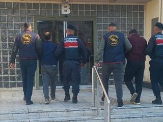 Aydın'da bahçeden çalınan 400 kilo zeytin, fabrikada bulundu