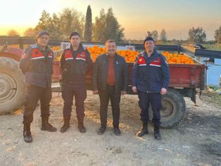Aydın'da bahçeden çalınan 1,5 ton portakal, satılamadan ele geçirildi