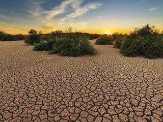 Türkiye bölgesel iklim eylemi konusunda liderlik rolü üstleniyor