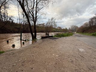 Bartın'da yağışlar barajlara çare oldu