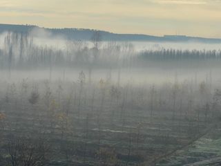 Diyarbakır Dicle Vadisi'nde sis manzarası