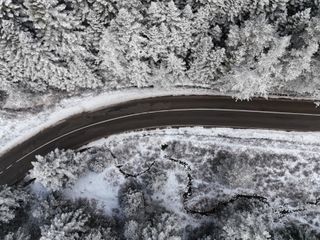 Bolu ormanlarında kar manzarası