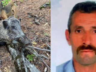 Erzincan'da domuz saldırısı can aldı