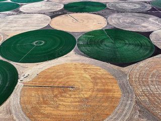 Tarım ürünlerinin depolama süreleri uzatıldı: 18 aydan 24 aya