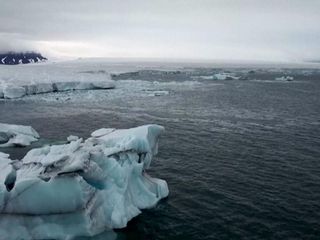 Kuzey Kutbu, kayıtlara geçen en sıcak yılını yaşadı
