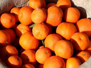 En ucuz meyve seçildi: İşte fiyatı...