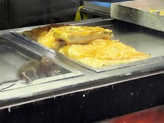 İzmir'de mide bulandıran görüntü: Börek tezgahında fare