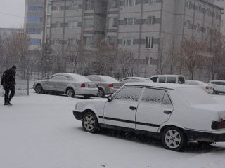 Bitlis'te kar yağışı sürüyor