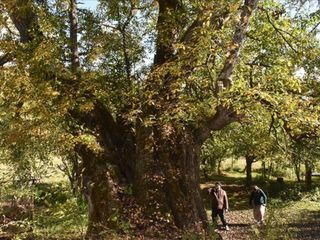 Türkiye’nin doğal mirası güvence altında