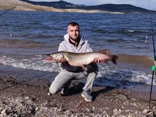 Çaygören Barajı’nda dev turna sürprizi