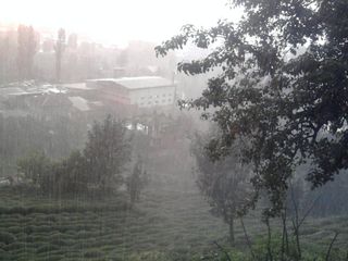 Rize havası dünyayı kuraklıktan kurtarabilir