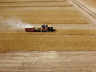 Çiftçilere 2 milyar lira tarımsal destekleme ödemesi bugün yapılacak