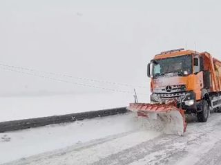 Erzincan'da kar yağışı etkili oluyor