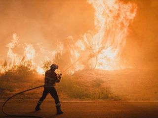 İspanya'da bu yıl 350 bin hektardan fazla ormanlık alan yandı