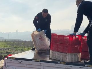İstanbul'da kaçak ve sağlıksız 1 ton tavuk eti imha edildi: İşletme mühürlendi