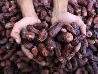 Türkiye'den Filistin'e hurmada kota desteği