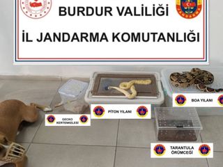 Burdur'da operasyon yapılan ev hayvanat bahçesi gibi çıktı