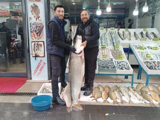 Batman’da 2 metre 10 santimlik dev turna balığı vatandaşların ilgisini çekti
