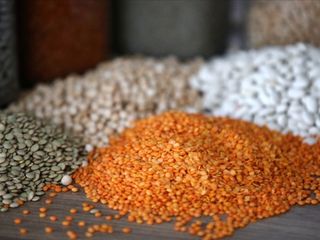 Güneydoğu'dan 3,2 milyar dolarlık hububat ihracatı yapıldı