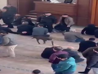 Kocaeli'de cuma namazında camiye giren pitbull cinsi köpek sahibinden alındı