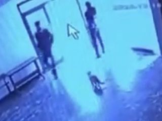 Elazığ'da kediye tekme atan görevli tepki çekti