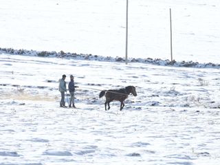 Kars ve Ardahan'da soğuk hava etkisini sürdürüyor