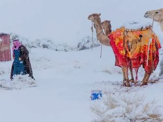 Suudi Arabistan'a yağan kar eşsiz görüntülere yol açtı