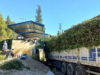 Gıda, İlaç, Kozmetik… Hepsinde var! Kilosu 25 TL’den satılıyor