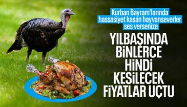 Yılbaşı hindileri satışa çıktı: Kilosu 800 liradan başlıyor