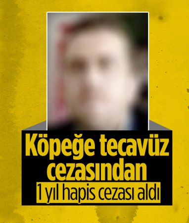 Ankara'da köpeğe cinsel saldırı! Hapis cezası belli oldu