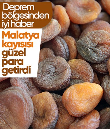 Malatya'dan 5 ayda 169,5 milyon dolarlık kuru kayısı ihraç edildi