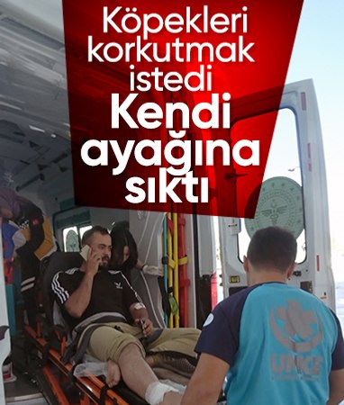 Aksaray'da çiftçi köpekleri uzaklaştırmak istedi! Havaya ateş ettiği silah kendini yaraladı