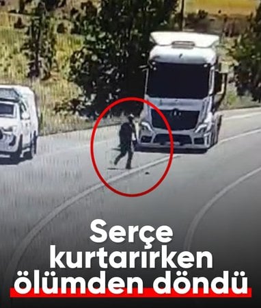 Tunceli'de yaralı serçeyi kurtaran vatandaşa kamyon çarptı