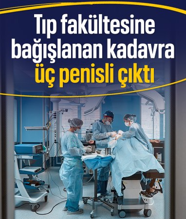 İncelenen kadavra üç penisli çıktı