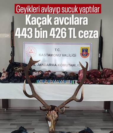 Kastamonu'da kaçak geyik avcılarına ceza yağdı