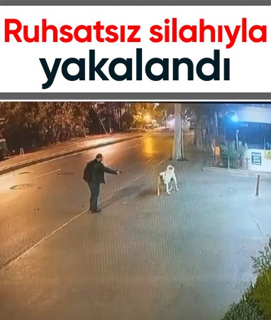 Bahçelievler'de korkutmak için ateş eden adama köpek aldırmadı