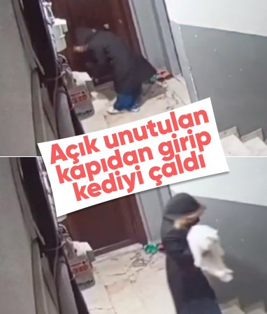 Arnavutköy’de kapısı 10 saniye açık unutulan binadaki kedi çalındı