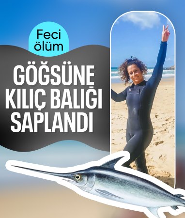 Endonezya'da göğsüne kılıç balığı saplandı: Yaşamını yitirdi