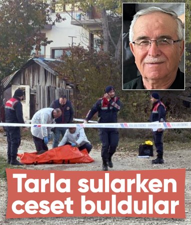 Bolu'da 3 gündür kayıp yaşlı adam, tarlada ölü bulundu